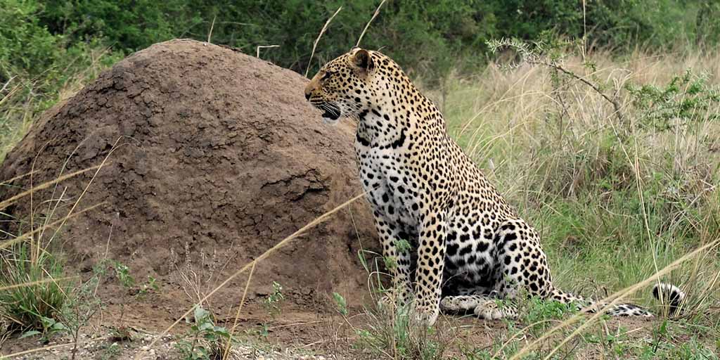 Akagera National Park Safari – 2 days