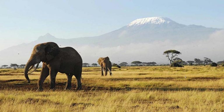 Amboseli Safari – 3 Days