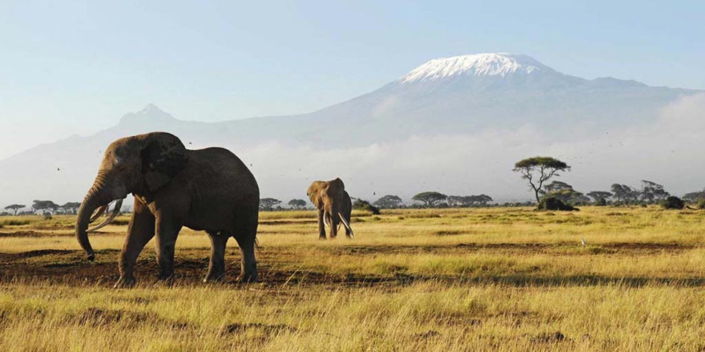 You are currently viewing Amboseli Safari – 3 Days