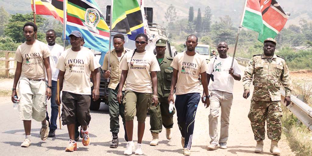 You are currently viewing Green Ranger Safaris and the Ivory Belongs to Elephants Campaign