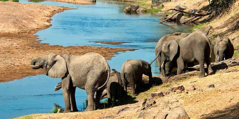 Hidden Treasures of Tanzania Safari – 14 days